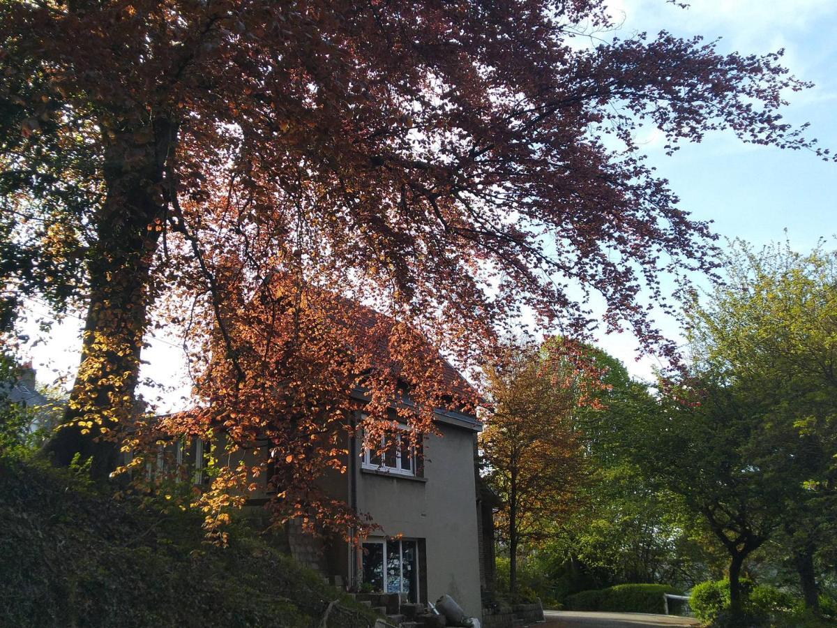 Villa Le Domaine Des Roches, Auberge Collective Dieppe Exterior foto